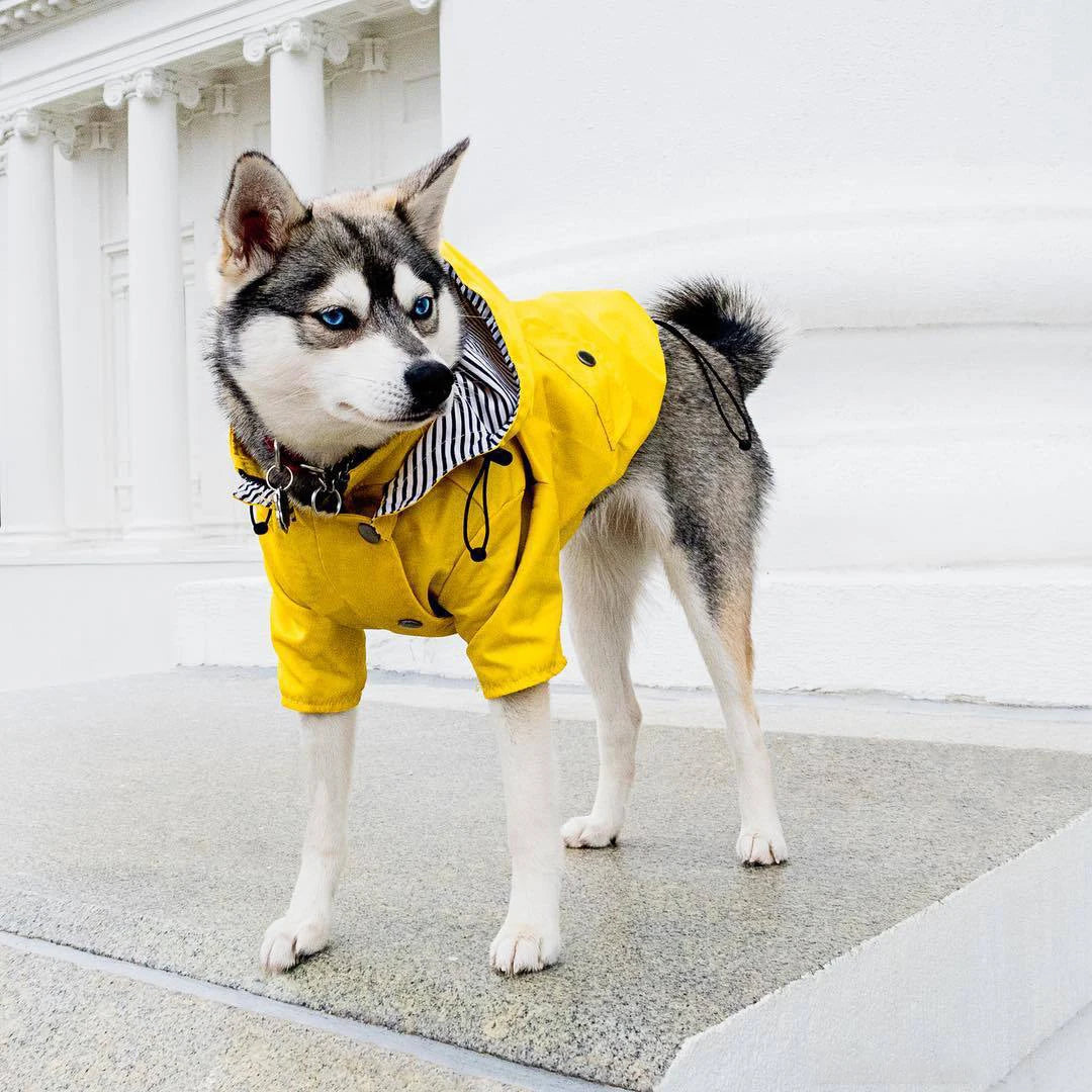 Pet Dog Raincoat Windproof and Rainproof Yellow Puppy Hoodies Jacket Multi-size Suitable for Large, Medium and Small Dog Clothes
