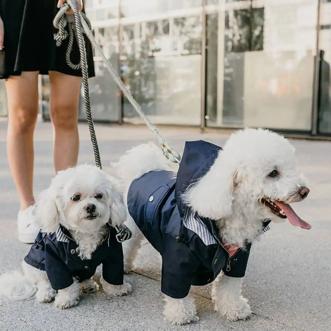 Pet Dog Raincoat Windproof and Rainproof Yellow Puppy Hoodies Jacket Multi-size Suitable for Large, Medium and Small Dog Clothes