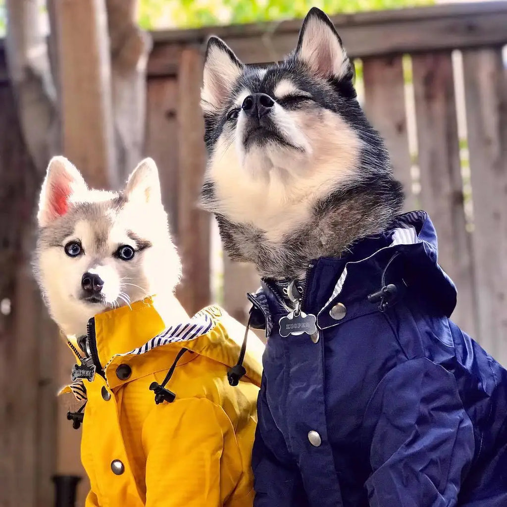 Pet Dog Raincoat Windproof and Rainproof Yellow Puppy Hoodies Jacket Multi-size Suitable for Large, Medium and Small Dog Clothes