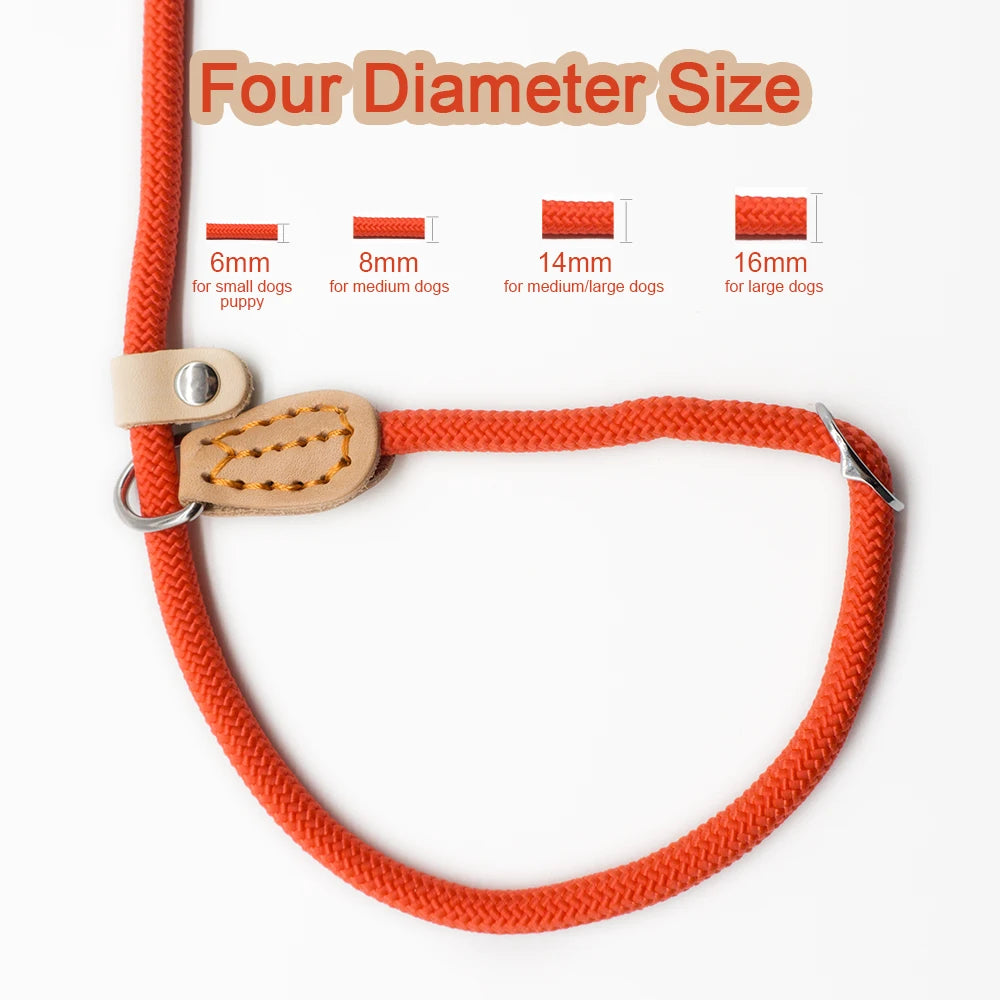 P Chain Dog Leash Slip Collar pet Walking Leads Nylon Dog Mountain Climbing Rope puppy pet Traction For small Medium Large Dogs