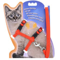 5 Color Adjustable Pet Cat Collar For Cats Cozy Nylon Rabbit Kitten Kedi Harness Leash Set Dog Cat Accessories Products For Pets