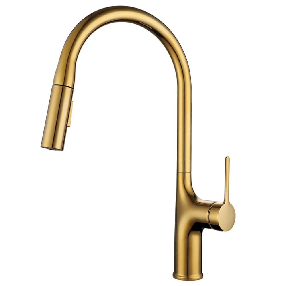 Bagnolux Black Brass Deck Mounted Kitchen Faucet Two Function Single Handle Pull Out Mixer Hot and Cold Water Pull Out Taps