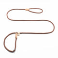 P Chain Dog Leash Slip Collar pet Walking Leads Nylon Dog Mountain Climbing Rope puppy pet Traction For small Medium Large Dogs