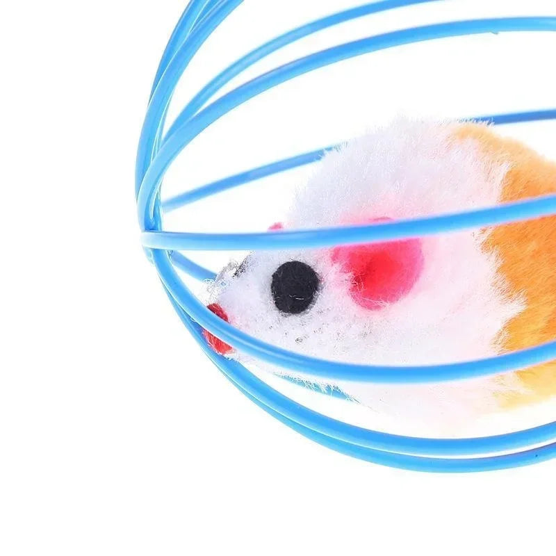 Cat Pet Toy - Random Color Mouse Ball Cage for Kittens - Pet Supplies and Accessories for Felines