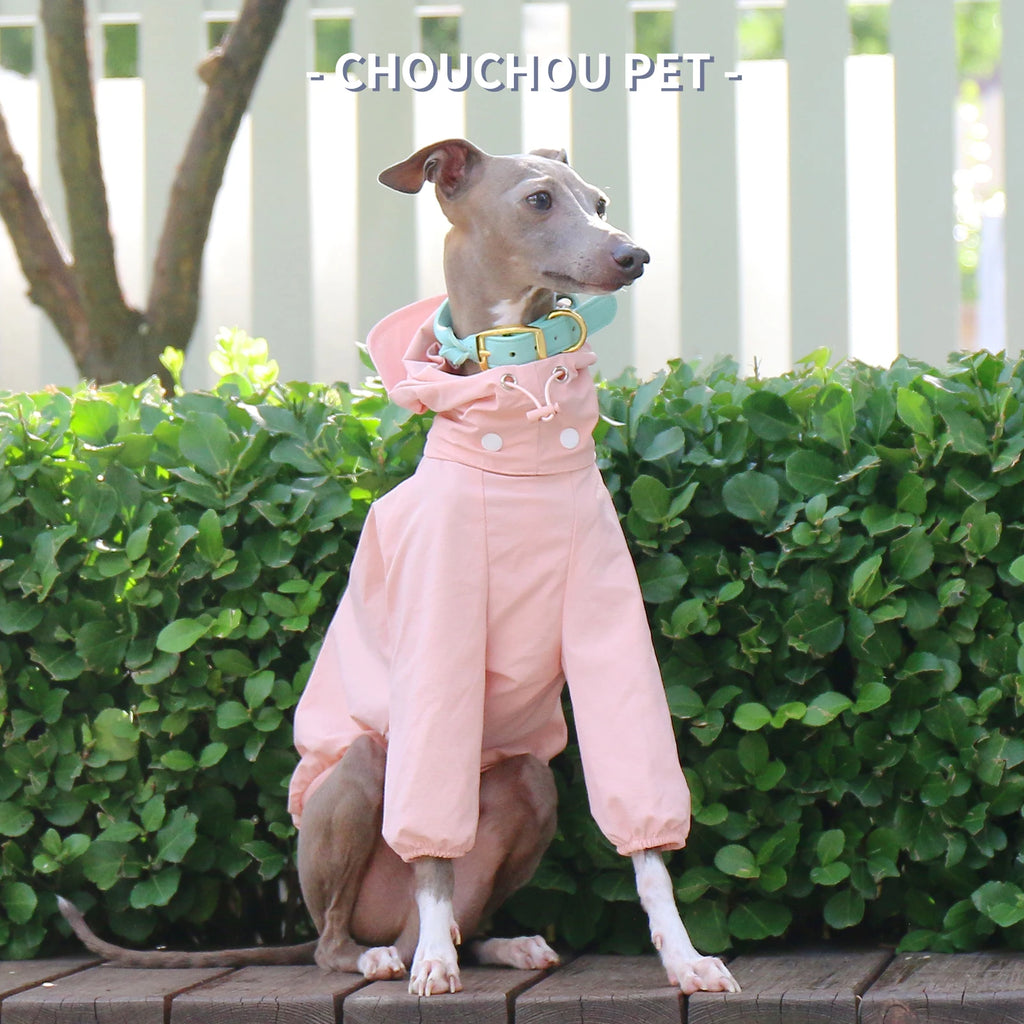 Italian Greyhound Whippet pet clothes for autumn outdoor sun protection, wind and rain protection with detachable hat for dog