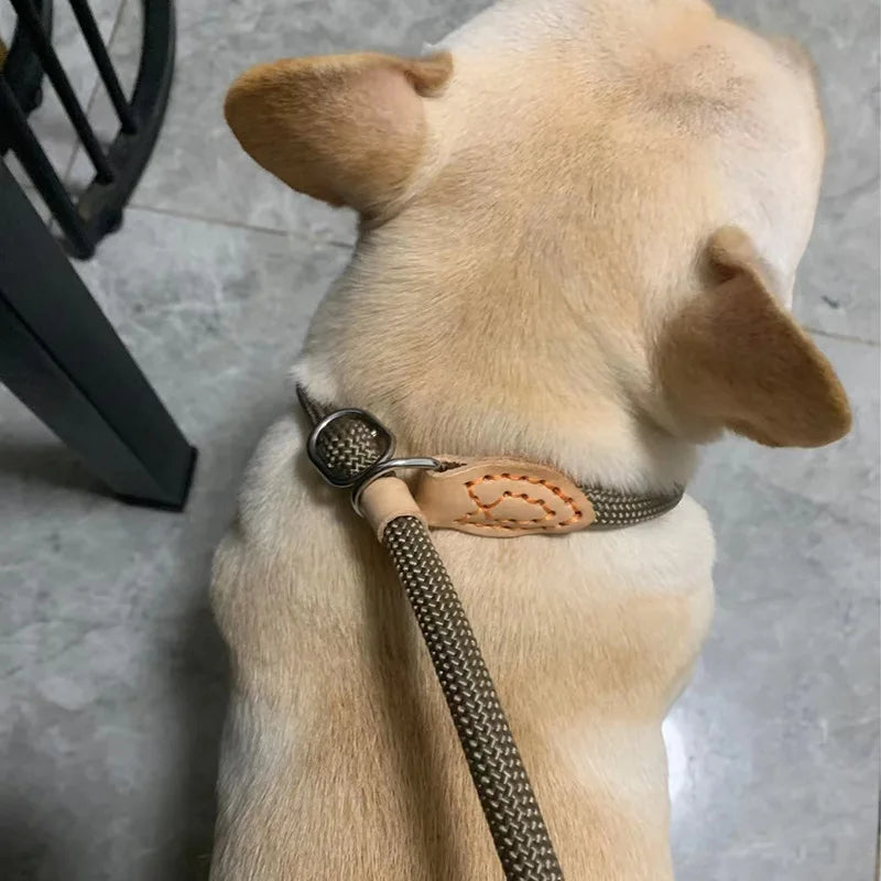 New style Dog Leash Slip Rope Lead Leash Heavy Duty Braided Rope Adjustable Loop Collar Training Leashes for Medium Large Dogs