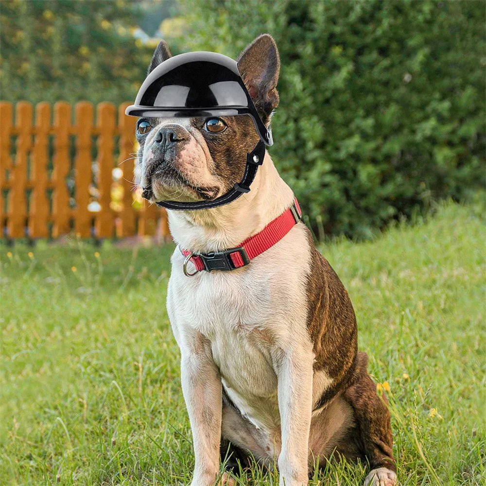 Cool Pet Dog Safety Helmet for Small Medium Dogs French Bulldog Doberman Pinscher Adjustable Motorcycle Helmets Pet Accessories