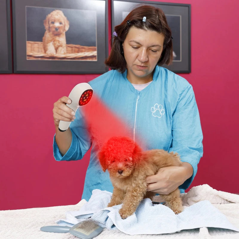 Handheld Laser Therapy for Dogs 2*808nm Laser Diode Red Light Therapy for Pain Relief&Wound Healing&Joint/Muscle Stiffness