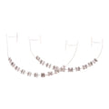 1 Pair Temporary Tooth Decoration Dental Fake Braces with Metal Wires & Bracket Dental Metal Bracket Dental Tool for Tooth Decor