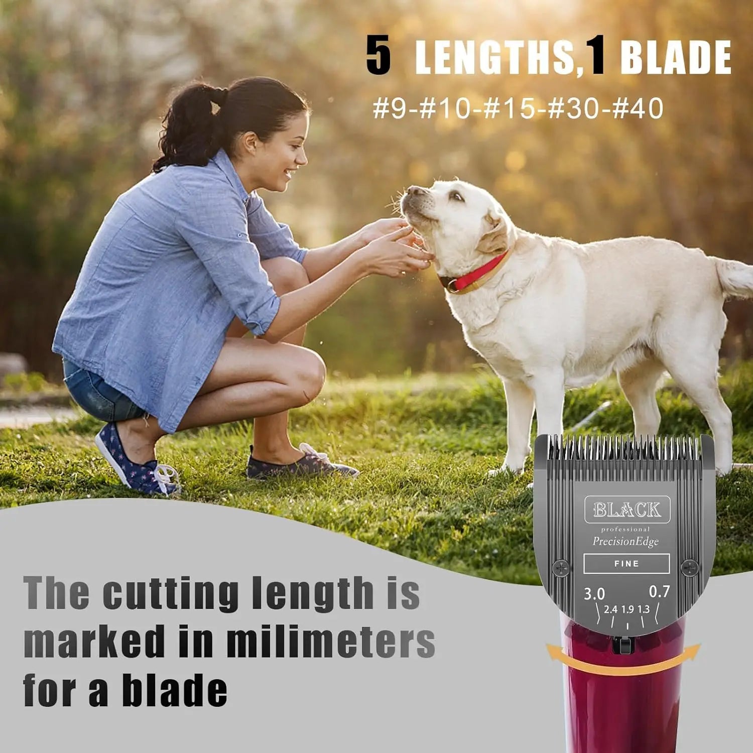 Pro Diamond Replacement 5in1 blade For Wahl Professional Animal Arco,Bravura,Chromado,Creativa,Figura,Motion Pet horse Clippers