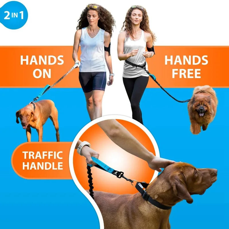 Adjustable Waist Dog Leash 2 in 1 Hands Free Bungee Handle with Reflective Stitches for Walking Hiking Running
