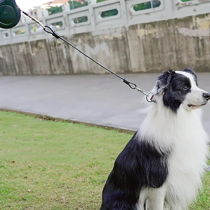 Dog Leash Extend Leashes 45cm Anti-bite Dogs Leashes Stainless Steel Wire Rope Leash for Dog Walking Dogs Chain Pet Accessories
