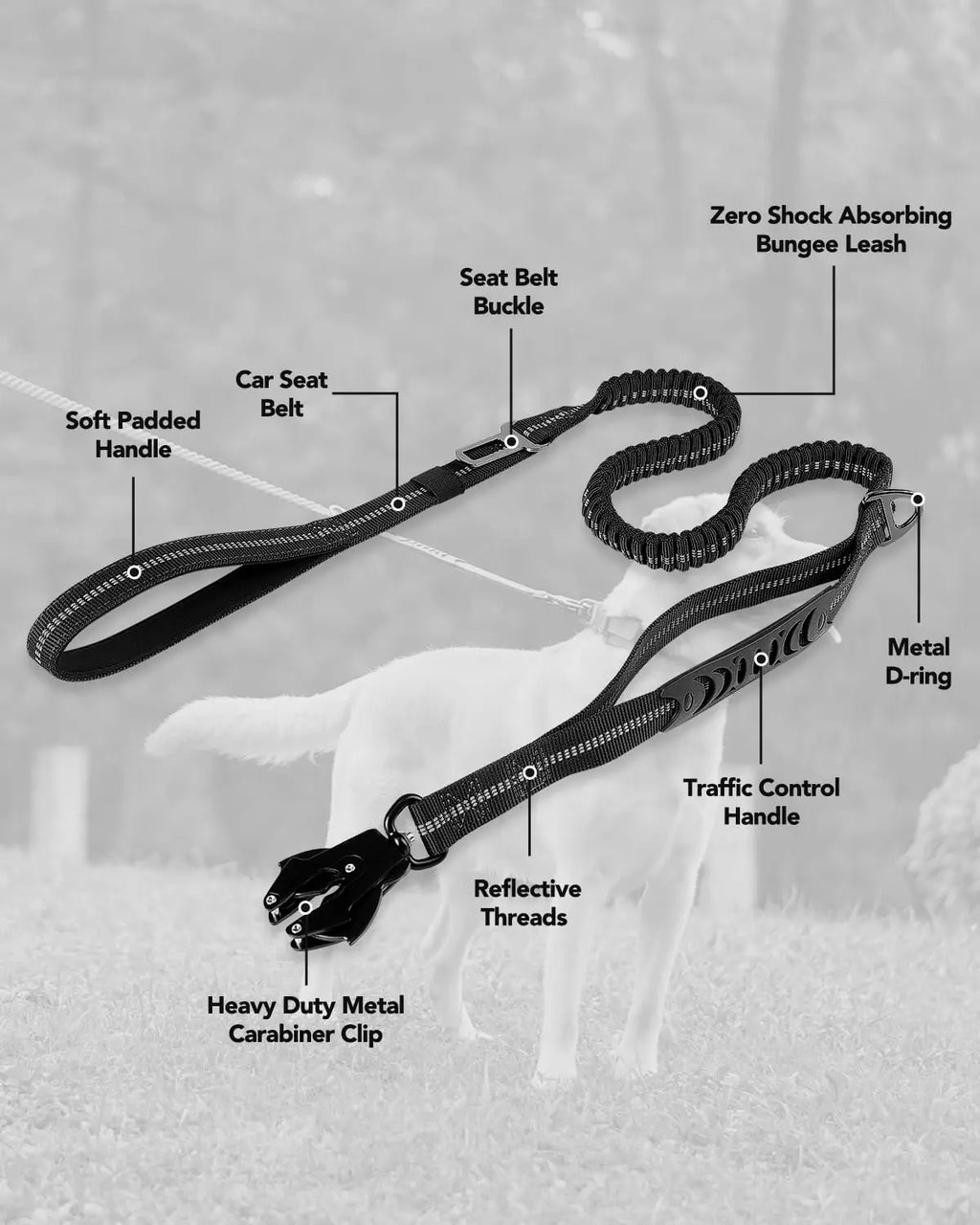 Heavy Duty Dog Leash with Elastic Bungee for Medium & Large Dogs - Shock Absorption & Safety Clip Included