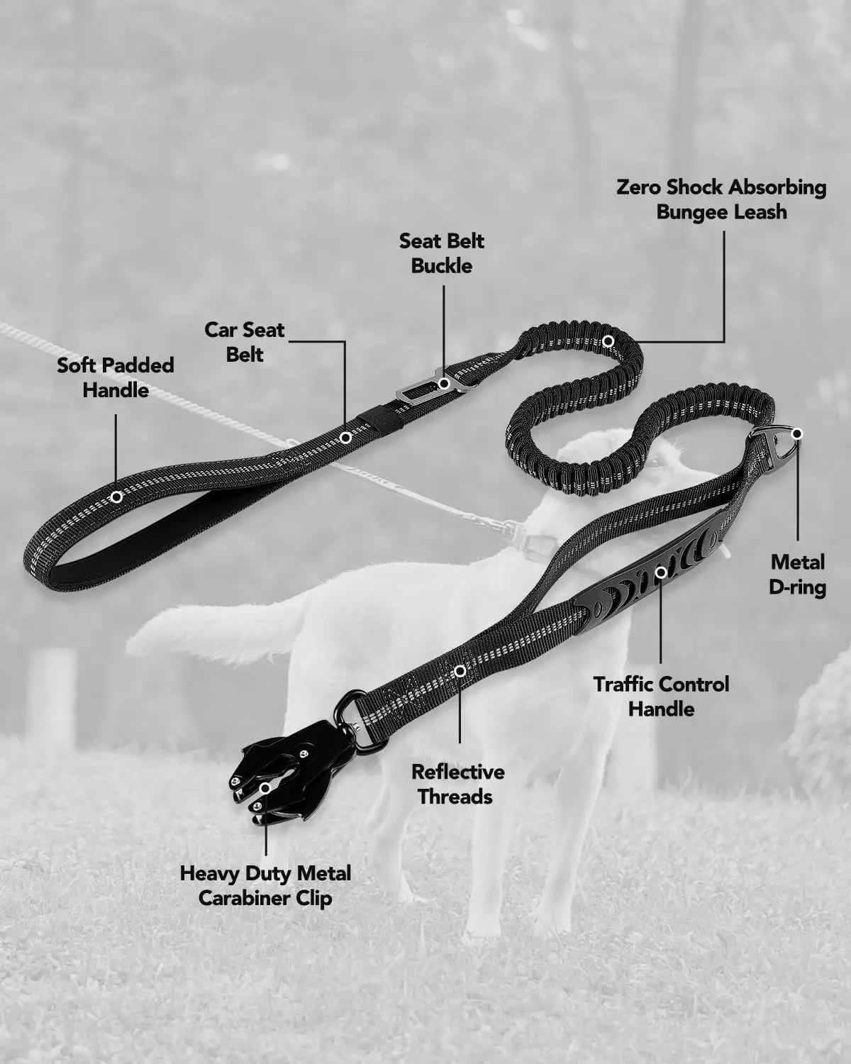 Heavy Duty Dog Leash with Elastic Bungee for Medium & Large Dogs - Shock Absorption & Safety Clip Included