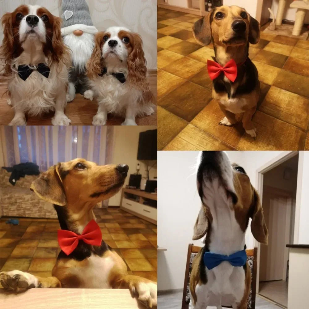 1pcs Pet Necklace Adjustable Strap Puppy Necktie Bow Ties Dog Cats Collar Grooming Supplies Accessories dieren benodigheden hond