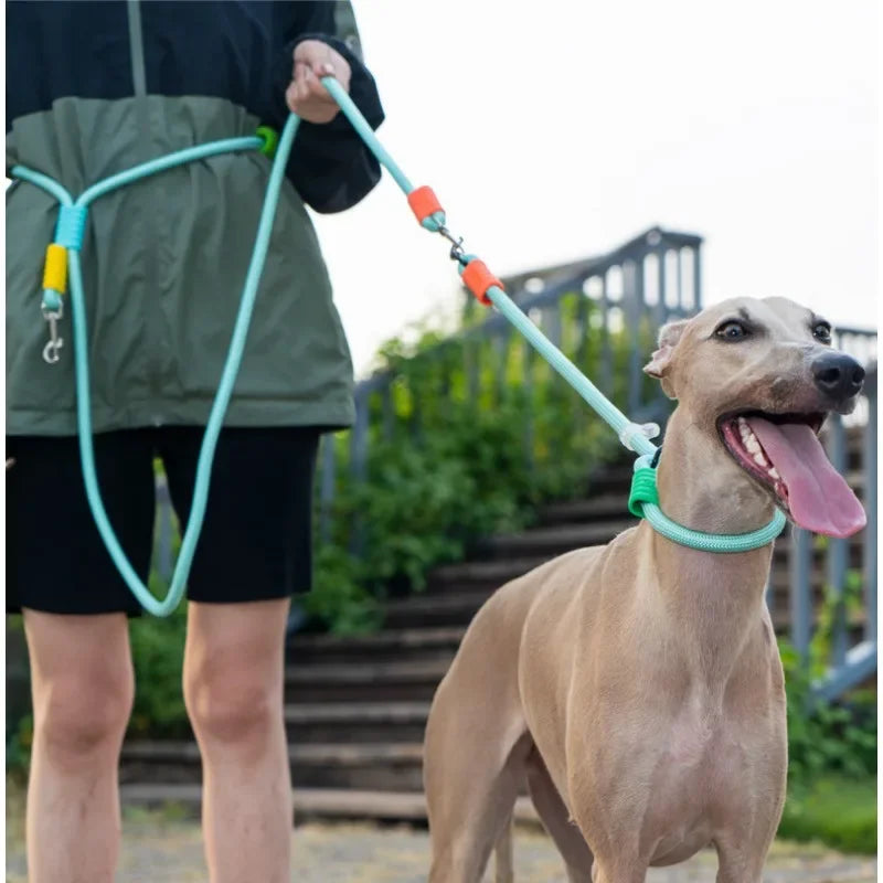 Double-Headed Dog Leash One-to-Two Medium and Large Dog Collar Anti-Burst P Rope Diagonal Cross-Body Dog Walking Artifact Rope