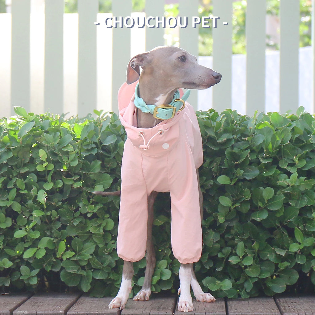 Italian Greyhound Whippet pet clothes for autumn outdoor sun protection, wind and rain protection with detachable hat for dog