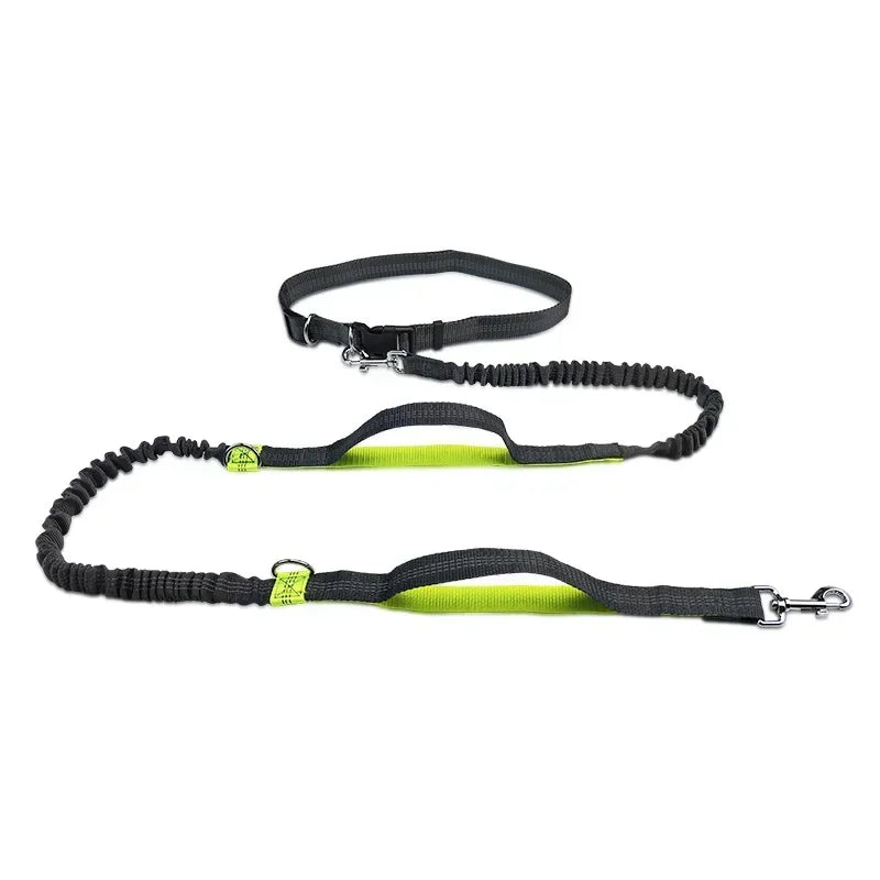 Dog Walking Belt, Traction Rope, Reflective, Explosion-proof, and Elastic At Night Running and Walking Dogs with Ease Dog Leash