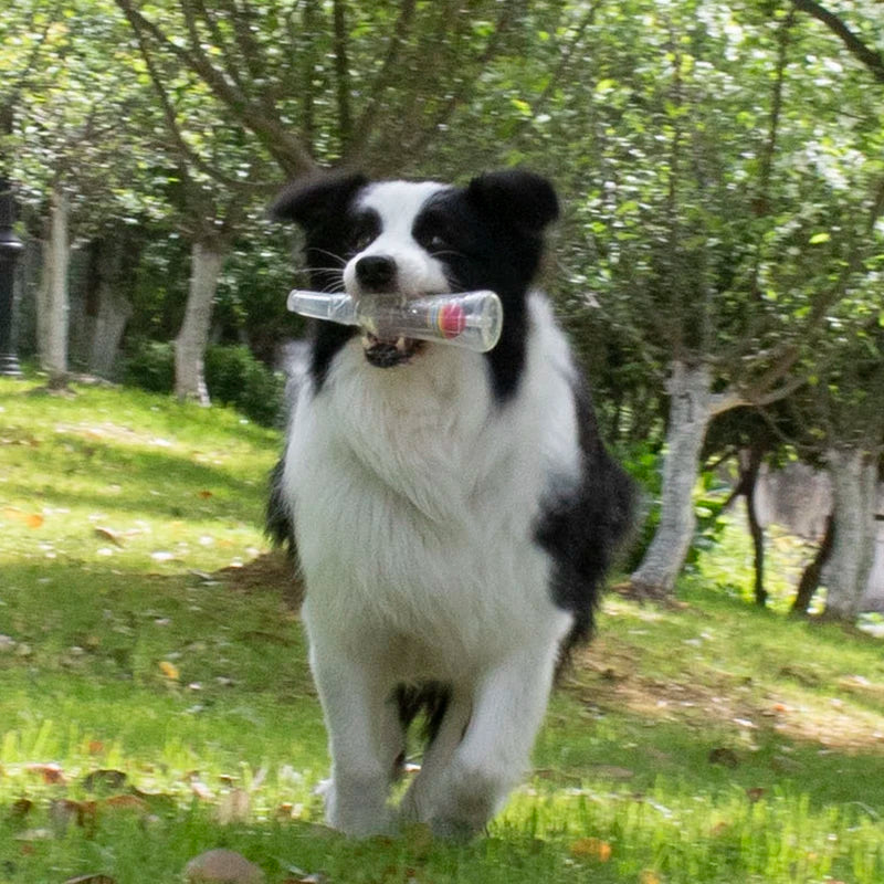 Pet Dog Chewing Toy Beer Bottle With Tennis Ball Dog Toy Squeak Pet Toy TPR Bite-resistance Dogs Funny Toy Pet Supplies
