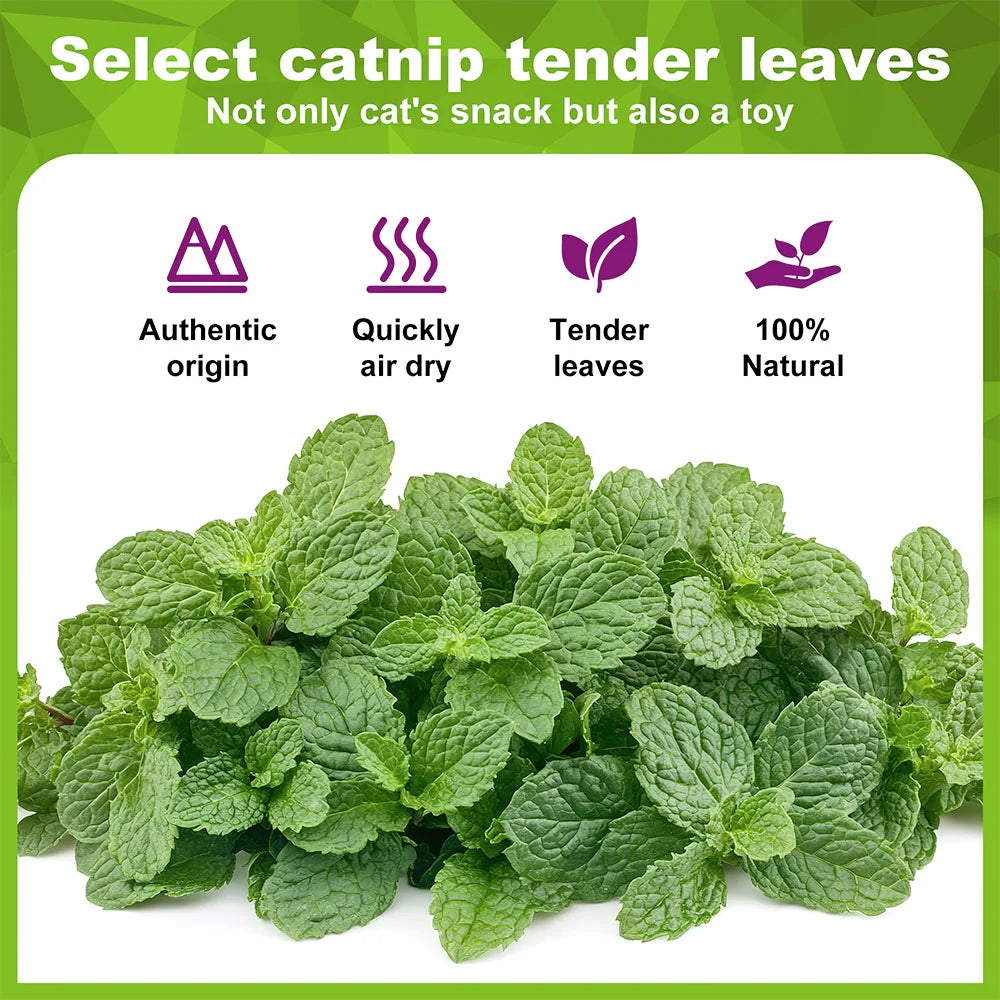 Catnip Balls Kitten Cat Nip Ball Licker Toy Natural Catnip Ball for Cats of All Breeds,Cat Lick Ball Toys That Fascinate Cats
