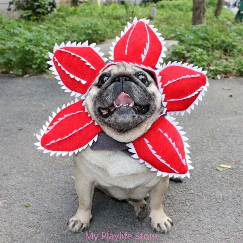 Funny Cat Hat Demogorgon Scary Flower Costume Birthday Pet Accessories Supplies  Pet Dogs Headwear Adjustable Sticker