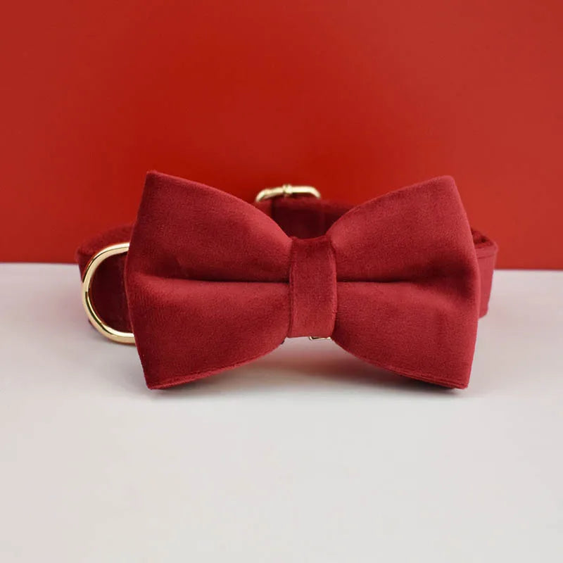 Velvet Collar Free Engrave Dog Collar Leash For Medium Big Pet Necklace Dog Accessories Dog Collars