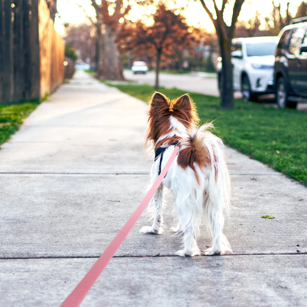 1.8M 3M 5M 10M PVC Heavy Duty Long Dog Leash for Large Medium Dogs Waterproof Easy Clean Strong Durable Running Training Leash