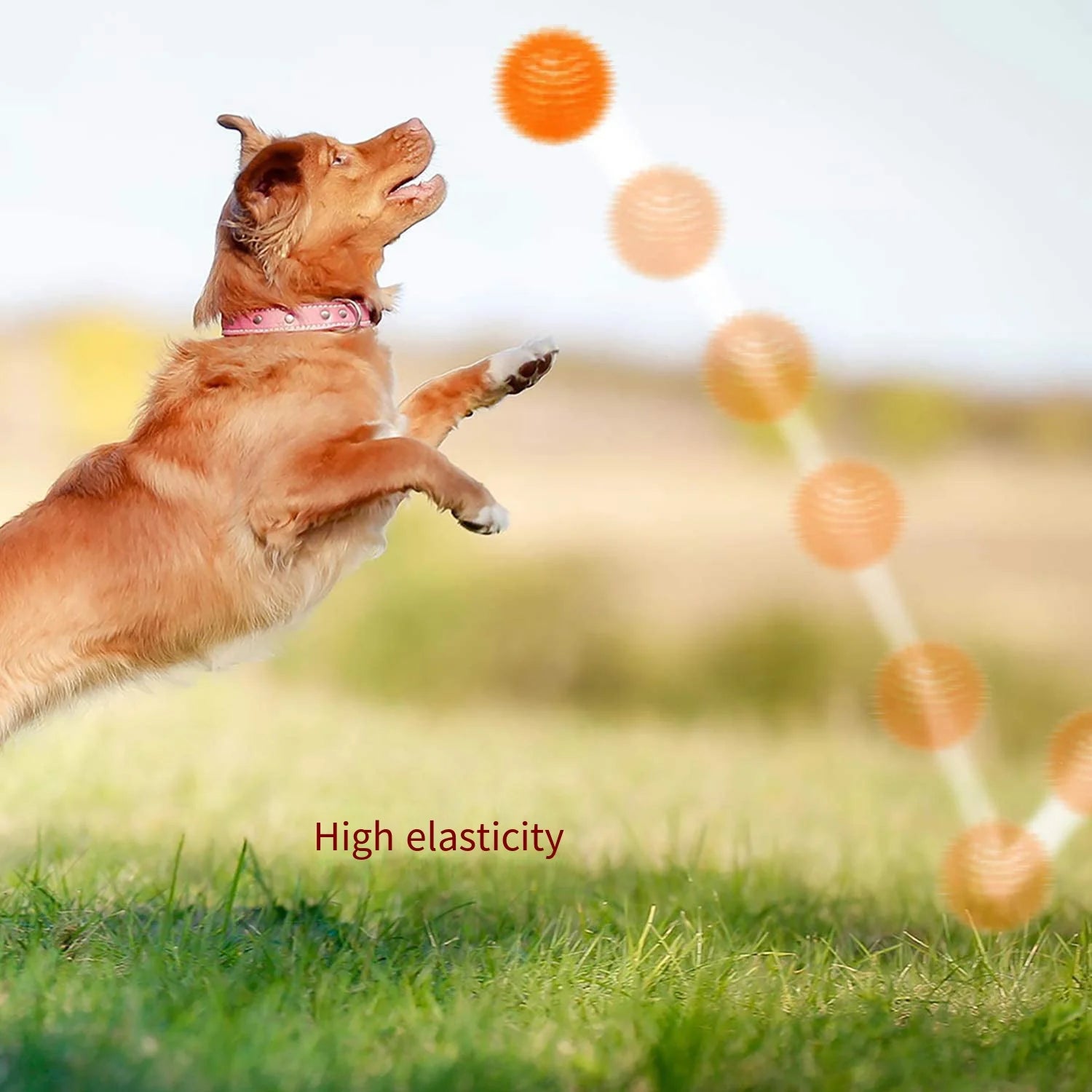 Dog Toys Sound Toy Bouncy Ball Pet Toy Polka Squeaky Tooth Cleaning Ball TPR Training Pet Teeth Chewing Toy