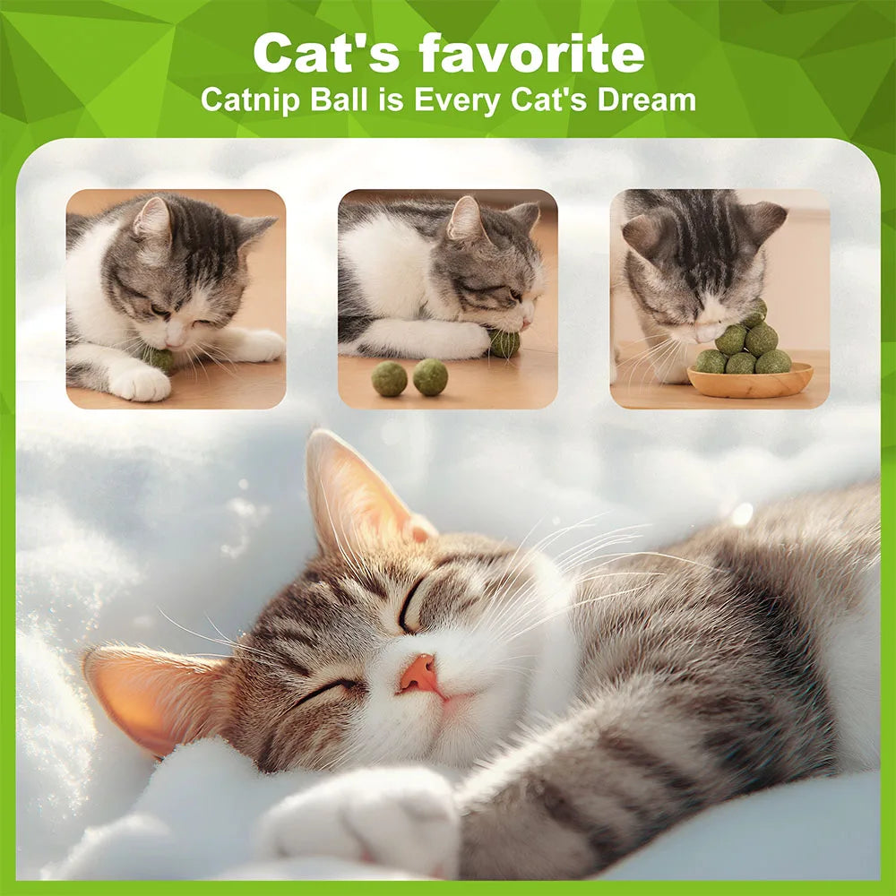 Catnip Balls Kitten Cat Nip Ball Licker Toy Natural Catnip Ball for Cats of All Breeds,Cat Lick Ball Toys That Fascinate Cats