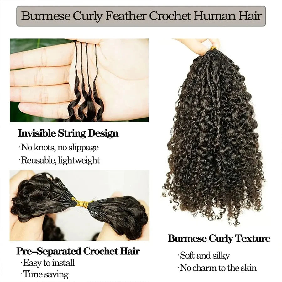 Burmese Curly Crochet Human Hair Knotless Pre-Separated Natural Black Kinky Curly Feather Crochet Hair Extensions For Braiding