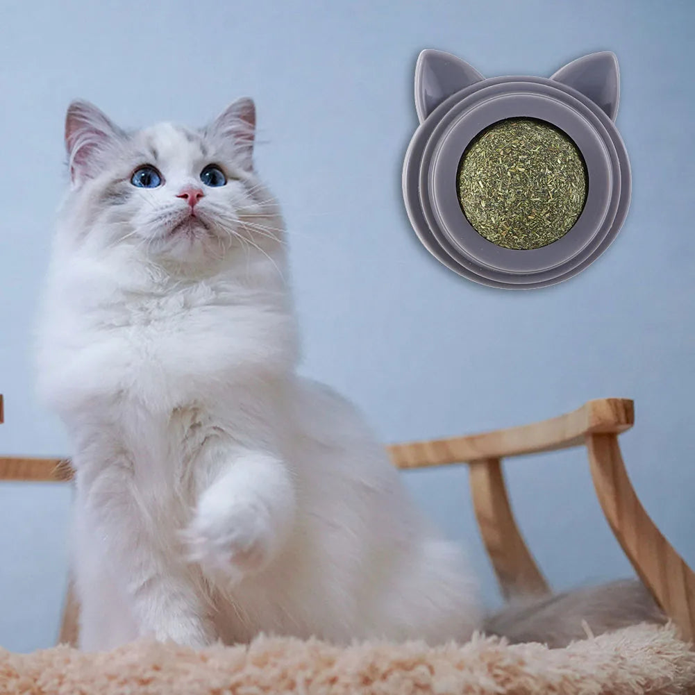 Rotatable Cat Cleaning Toy Self-Adhesive Catnip Balls Toy for Cats Catnip Wall Balls for Cats Teeth Cleaning Pet Treats Supplies