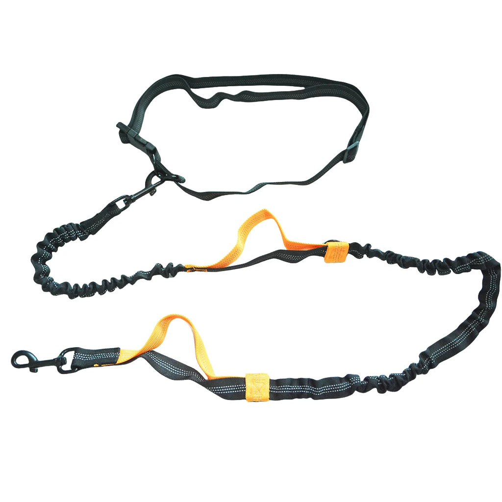 Adjustable Waist Dog Leash 2 in 1 Hands Free Bungee Handle with Reflective Stitches for Walking Hiking Running