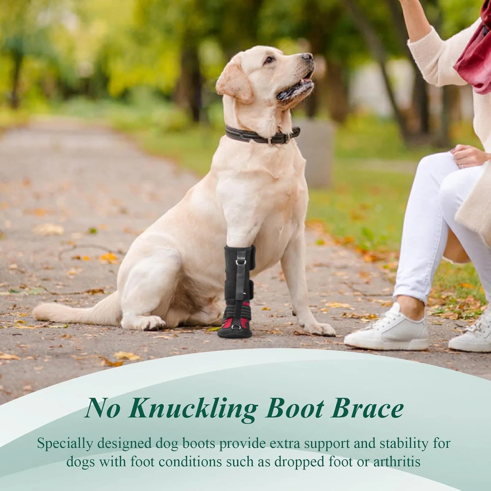 Drops Foot Brace No Knuckling Boot Brace For Dog Hard Anti-Skid Sole For Outdoor-Adventures
