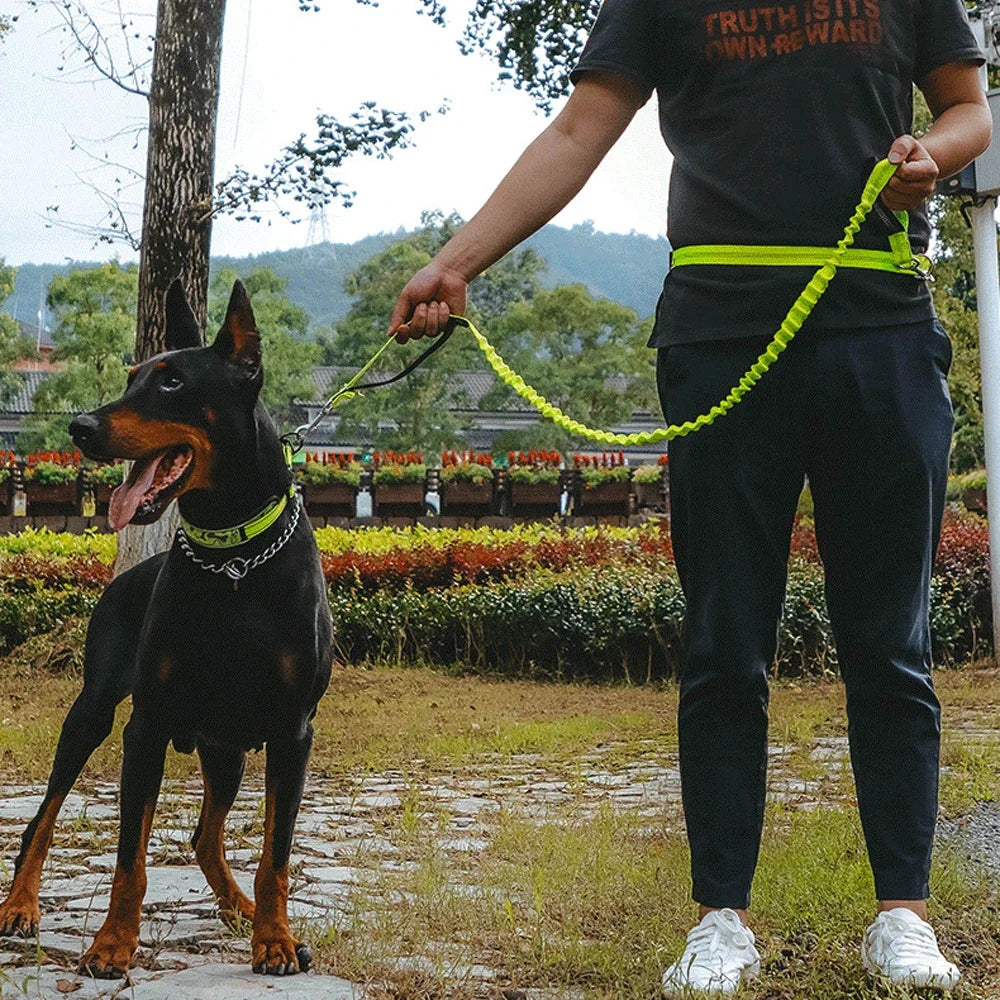1pc Hands-Free Pet Dog Leash Stretch Running Leash with Handle & Strong Bungees Adjustable Waist Belt for Walking Jogging Hiking