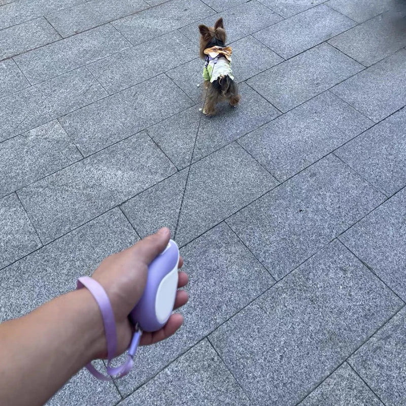 Booteely 3M Leash For Small Dogs Auto Retractable Leash, Hand Loop Kitten Leash, Compact And Portable Bichon Frise Dog Leash