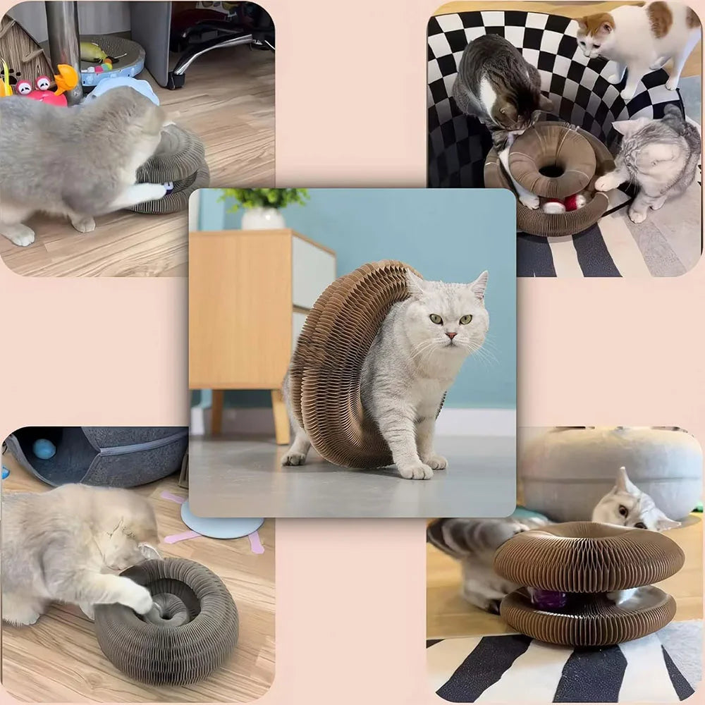 Magic Organ Cat Scratching Board Interactive Scratcher Cat Toy Cat Accordion Toy Cat Grinding Claw Scratching Board Pet Supplies
