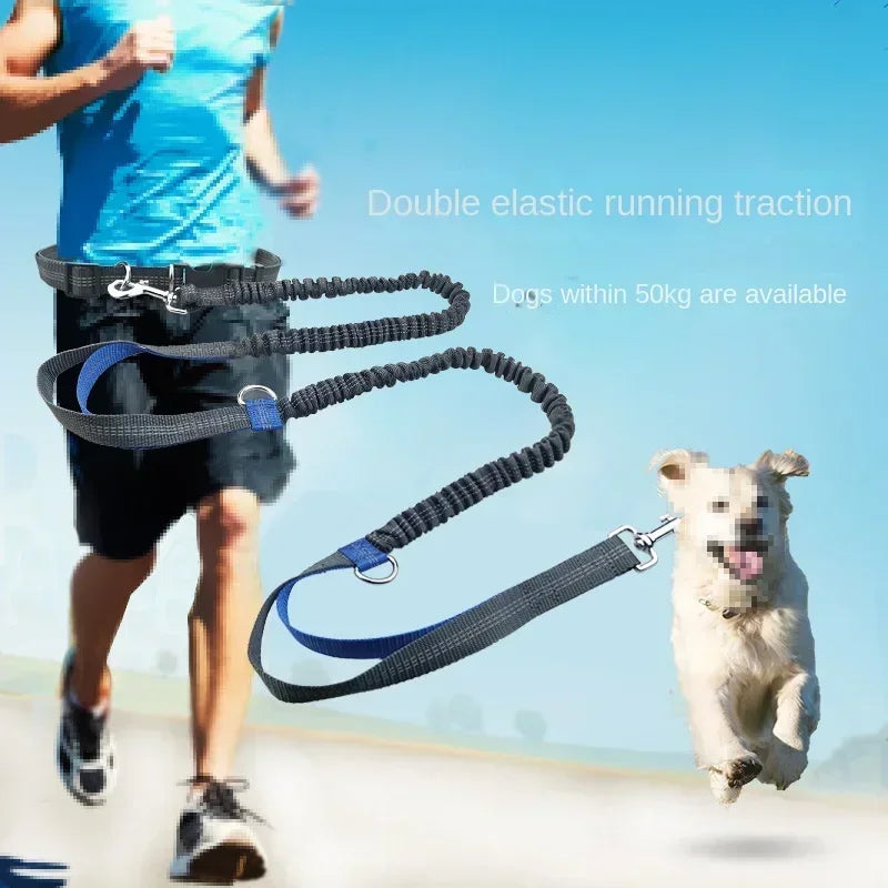 Dog Walking Belt, Traction Rope, Reflective, Explosion-proof, and Elastic At Night Running and Walking Dogs with Ease Dog Leash