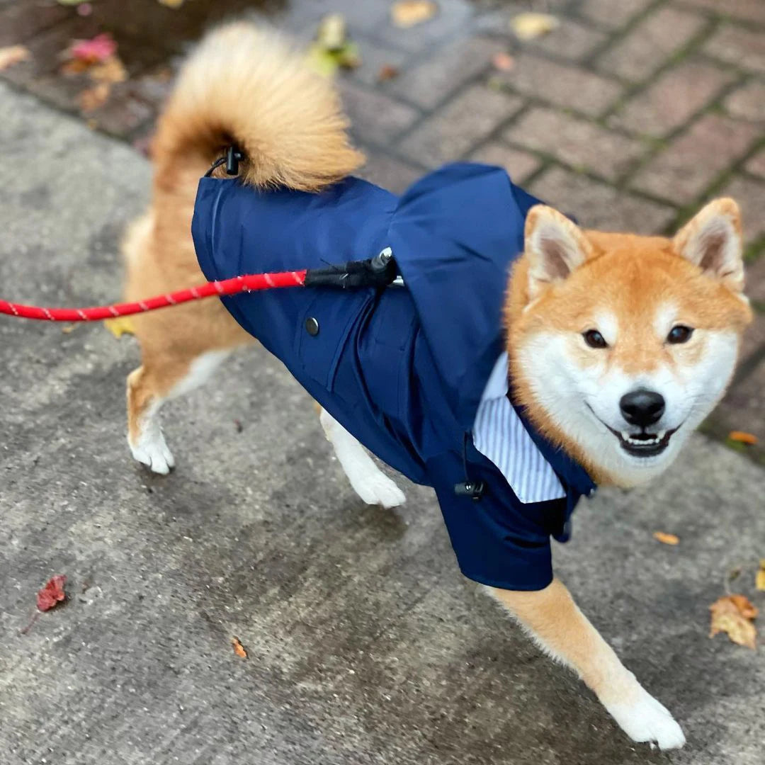 Pet Dog Raincoat Windproof and Rainproof Yellow Puppy Hoodies Jacket Multi-size Suitable for Large, Medium and Small Dog Clothes