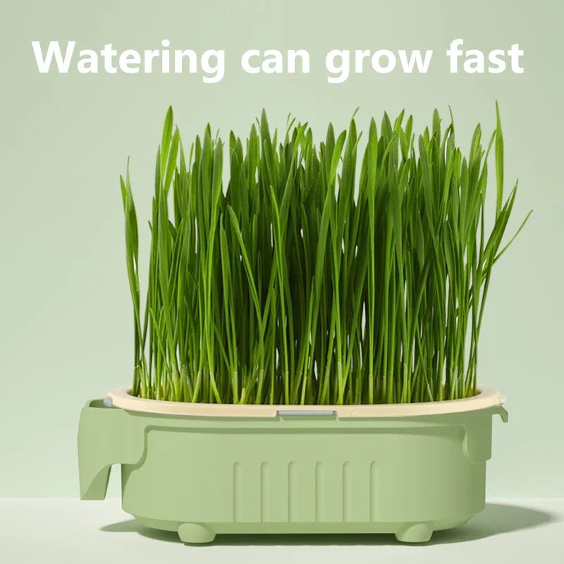 Organic Cat Grass Planter Kit Hairball Relief Natural Digestive Aid Grow Your Own Cat Grass Bowl Set Not Include Seed