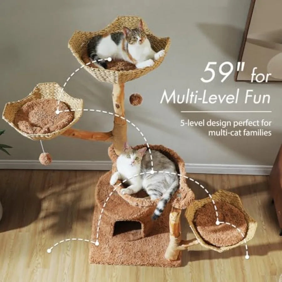 Large Cat Tree for Indoor Cats 59 Inches Modern Furniture with 3 Large Baskets Natural Solid Wood Luxury Condo and Hammock Brow