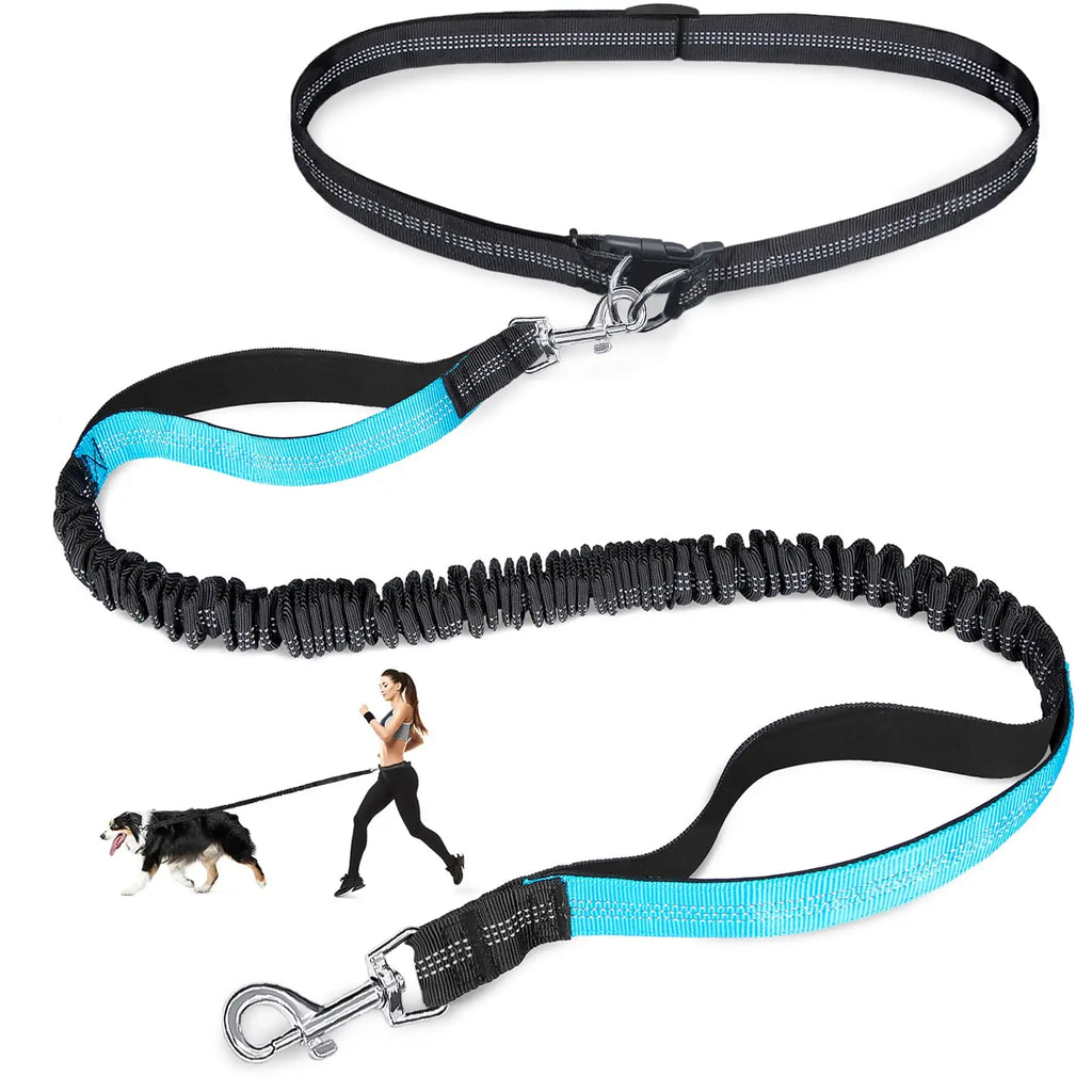 Adjustable Waist Dog Leash 2 in 1 Hands Free Bungee Handle with Reflective Stitches for Walking Hiking Running