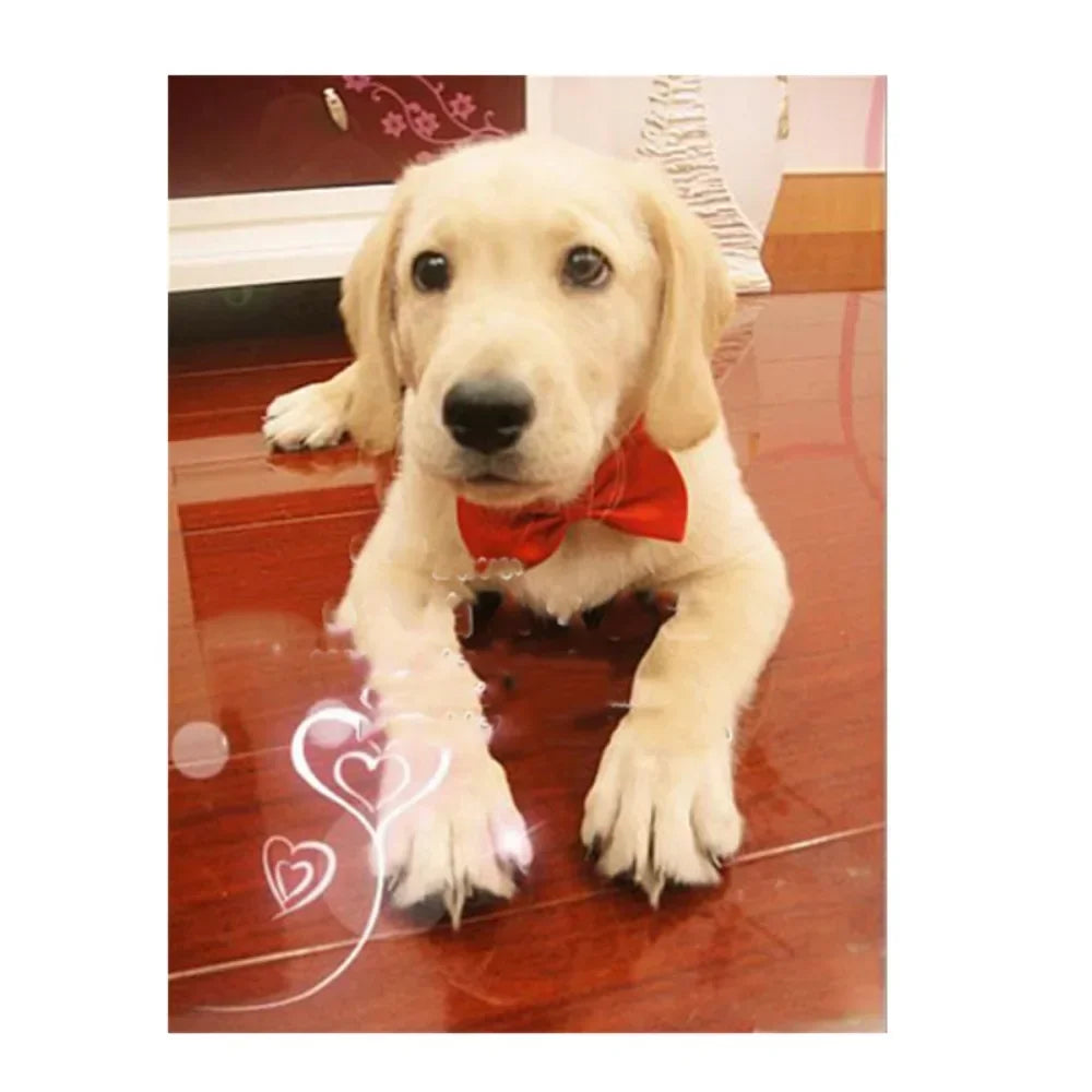 1pcs Pet Necklace Adjustable Strap Puppy Necktie Bow Ties Dog Cats Collar Grooming Supplies Accessories dieren benodigheden hond