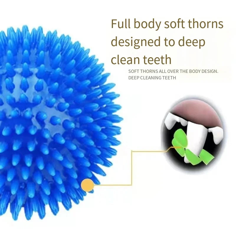 Dog Toys Sound Toy Bouncy Ball Pet Toy Polka Squeaky Tooth Cleaning Ball TPR Training Pet Teeth Chewing Toy