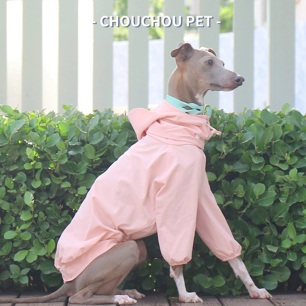 Italian Greyhound Whippet pet clothes for autumn outdoor sun protection, wind and rain protection with detachable hat for dog