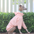 Italian Greyhound Whippet pet clothes for autumn outdoor sun protection, wind and rain protection with detachable hat for dog