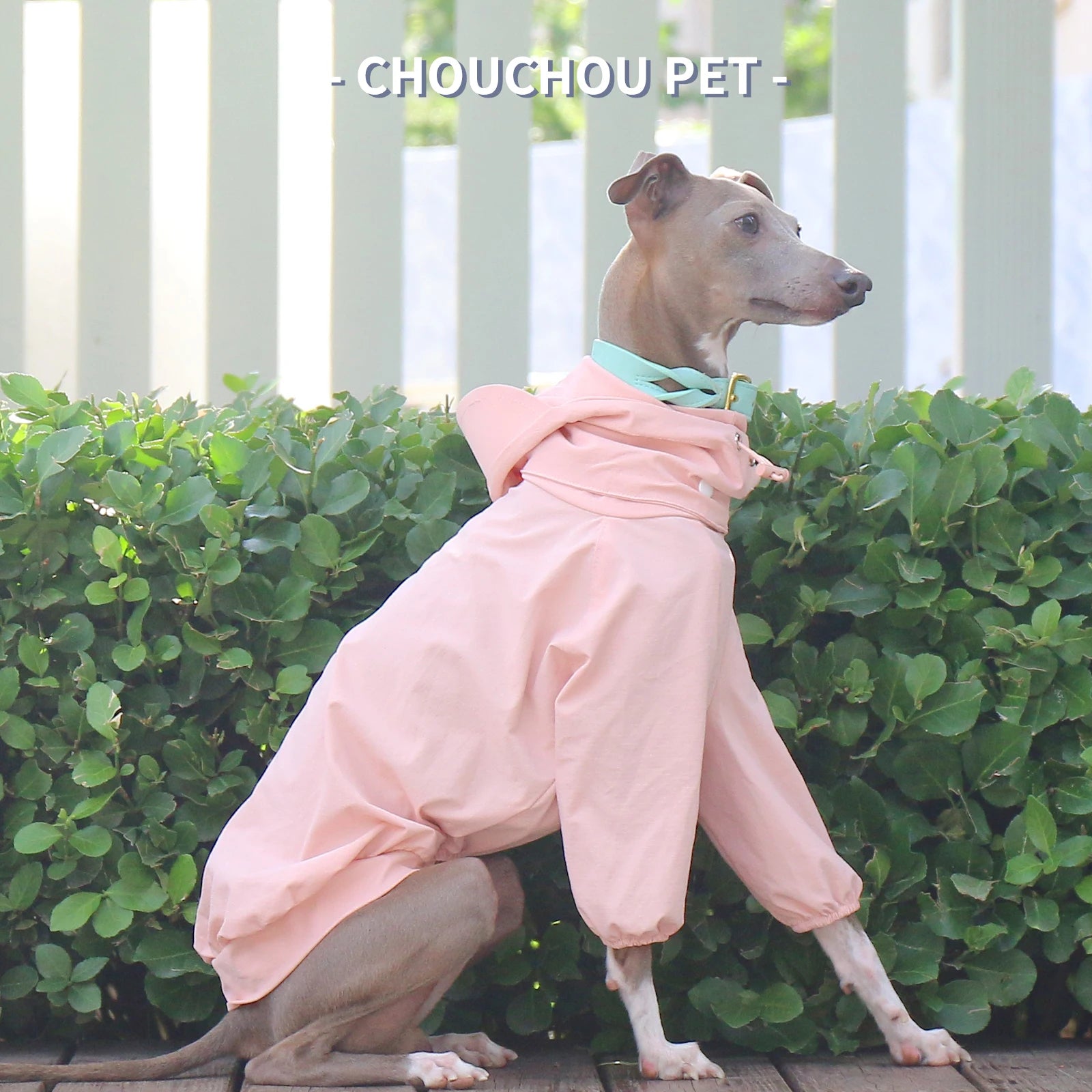 Italian Greyhound Whippet pet clothes for autumn outdoor sun protection, wind and rain protection with detachable hat for dog