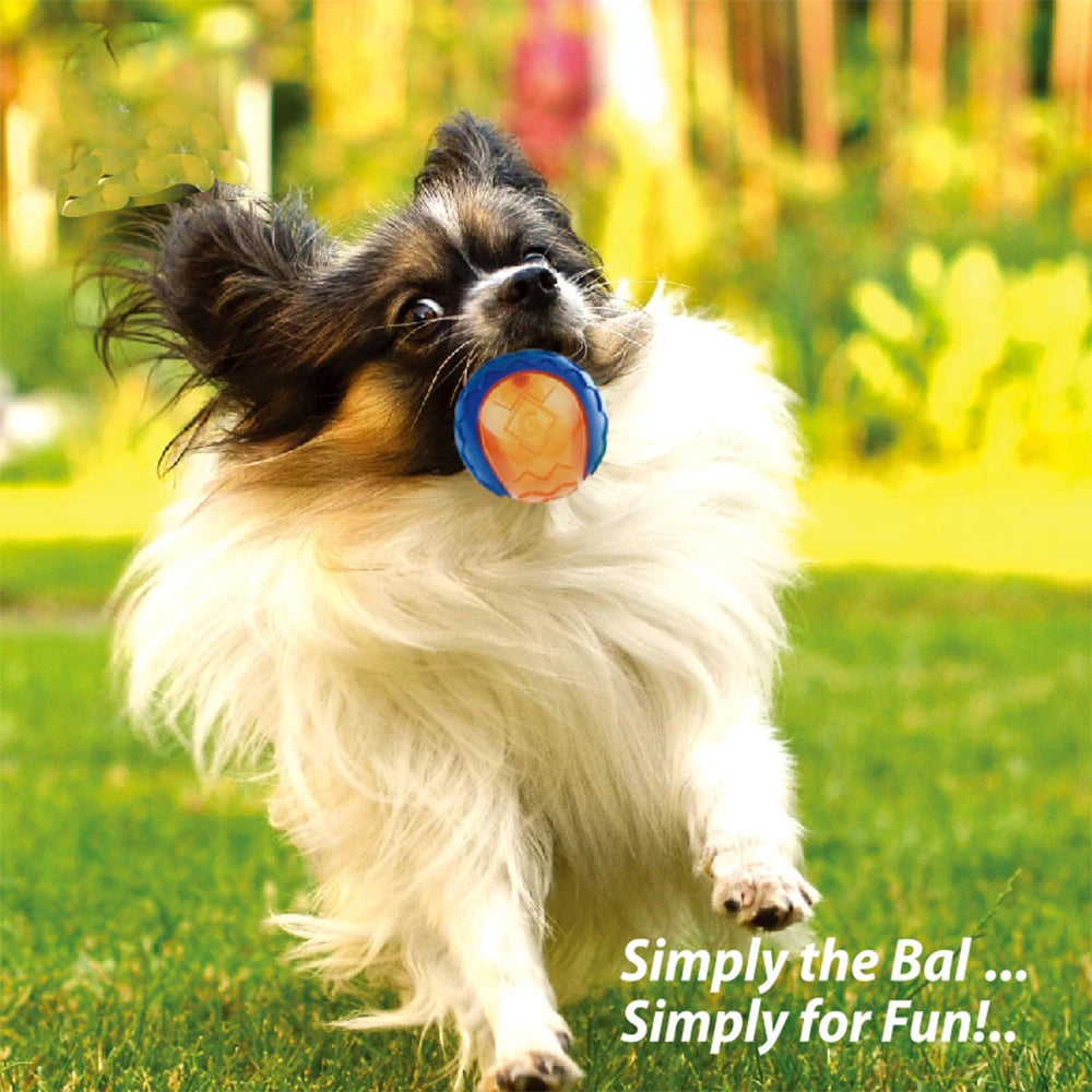 2pcs Pet Dog Squeaky Toys Ball Tennis Ball Interactive Dog Toys High Bounce Sound Rubber Ball for Dog Training Outdoor Play Ball