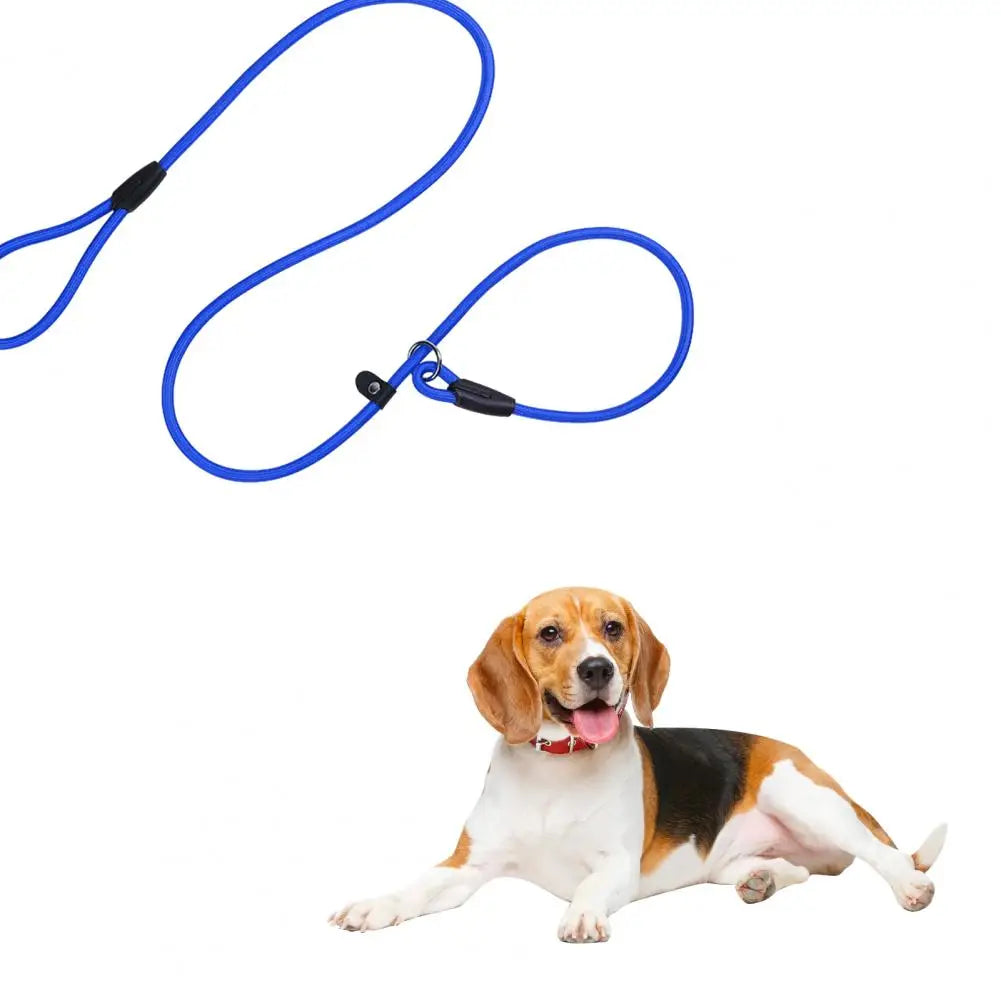 Bright Blue Pet Leash Pet Leash for Night Walks High-density Nylon Braided Rope Slip Lead Dog Leash for Medium Small Dogs