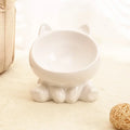 Ceramic Pet Food Bowl Tilt High Bottom Neck Protector Bowl Antichoking Dog and Cat Water Bowl Antidumping Dog Feeding Supplies