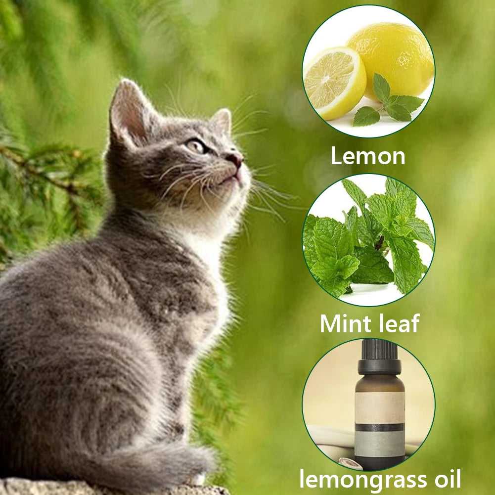 12Pcs Cat Deterrent Natural Peppermint Oil Cat & Dog Nature Repellent To Keep Feral Cats Stray Dogs Out of Yard